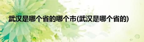 武汉是哪个省的哪个市(武汉是哪个省的)