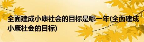 全面建成小康社会的目标是哪一年(全面建成小康社会的目标)