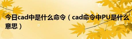 今日cad中是什么命令（cad命令中PU是什么意思）