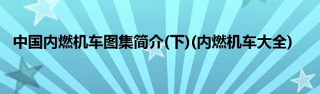 中国内燃机车图集简介(下)(内燃机车大全)