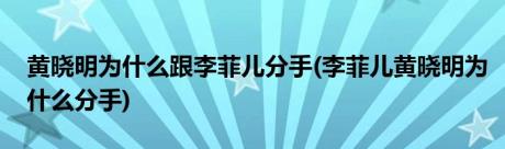 黄晓明为什么跟李菲儿分手(李菲儿黄晓明为什么分手)