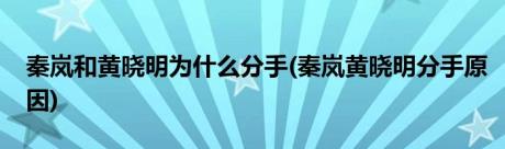 秦岚和黄晓明为什么分手(秦岚黄晓明分手原因)