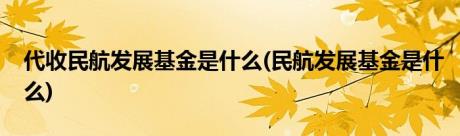 代收民航发展基金是什么(民航发展基金是什么)