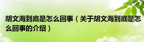 胡文海到底是怎么回事（关于胡文海到底是怎么回事的介绍）