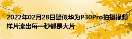 2022年02月28日疑似华为P30Pro拍摄视频样片流出每一秒都是大片