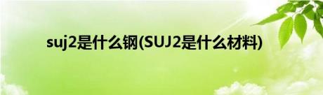 suj2是什么钢(SUJ2是什么材料)