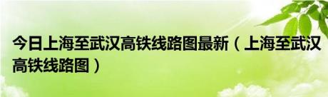 今日上海至武汉高铁线路图最新（上海至武汉高铁线路图）