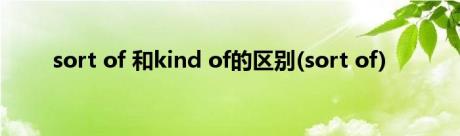 sort of 和kind of的区别(sort of)