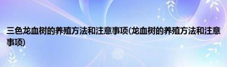 三色龙血树的养殖方法和注意事项(龙血树的养殖方法和注意事项)