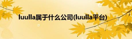 luulla属于什么公司(luulla平台)