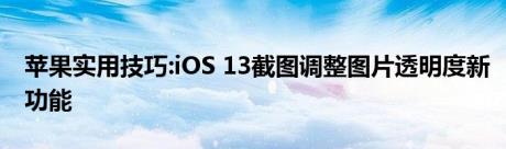 苹果实用技巧:iOS 13截图调整图片透明度新功能