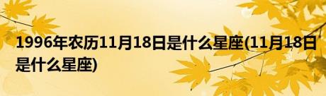 1996年农历11月18日是什么星座(11月18日是什么星座)