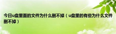 今日u盘里面的文件为什么删不掉（u盘里的有些为什么文件删不掉）