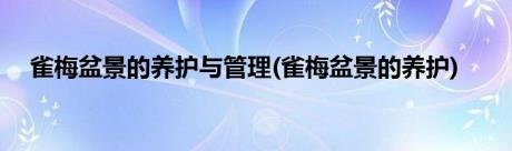 雀梅盆景的养护与管理(雀梅盆景的养护)