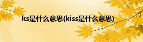 ks是什么意思(kiss是什么意思)