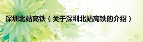 深圳北站高铁（关于深圳北站高铁的介绍）