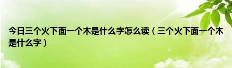 今日三个火下面一个木是什么字怎么读（三个火下面一个木是什么字）