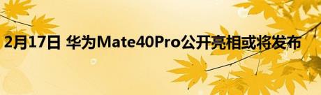 2月17日 华为Mate40Pro公开亮相或将发布