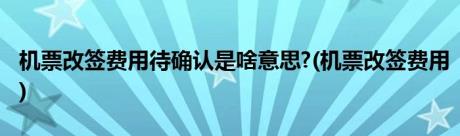 机票改签费用待确认是啥意思?(机票改签费用)