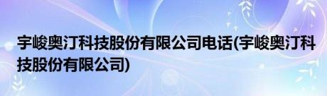 宇峻奥汀科技股份有限公司电话(宇峻奥汀科技股份有限公司)