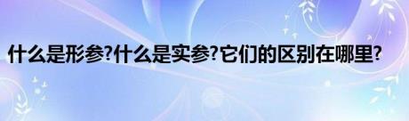 什么是形参?什么是实参?它们的区别在哪里?