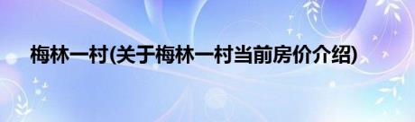 梅林一村(关于梅林一村当前房价介绍)