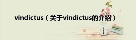 vindictus（关于vindictus的介绍）