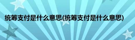 统筹支付是什么意思(统筹支付是什么意思)